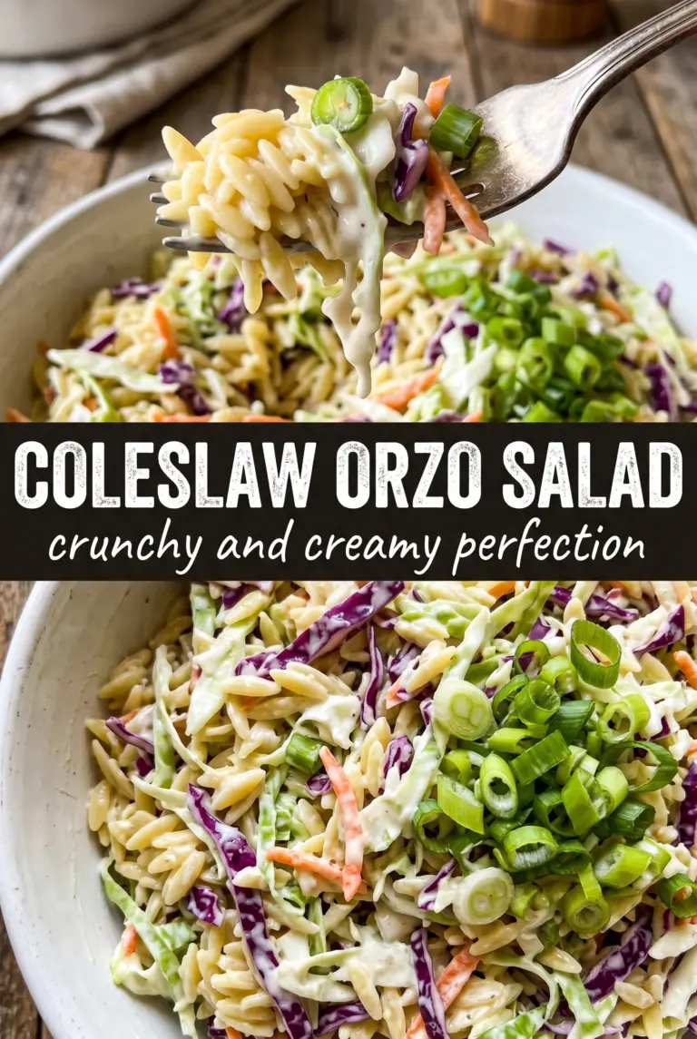 Coleslaw Orzo Salad