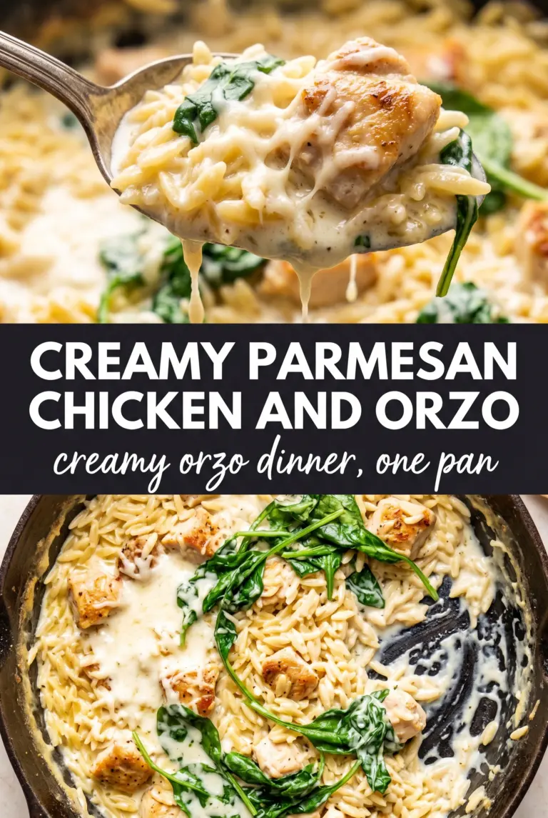 Creamy Parmesan Chicken and Orzo