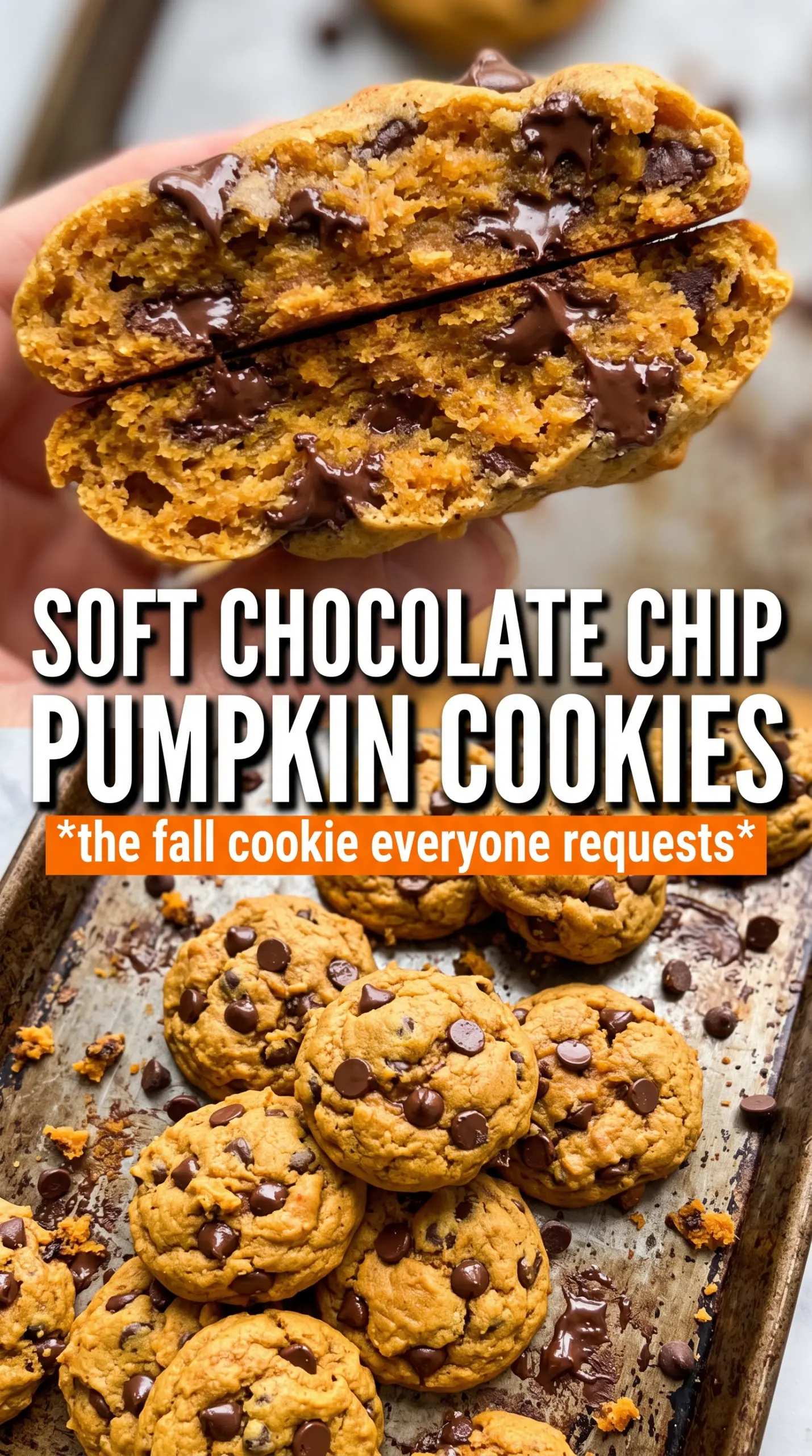 Chocolate Chip Pumpkin Cookies soft chocolatey sea-salted